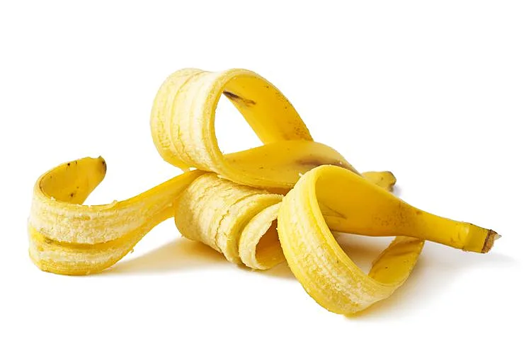 קליפת הבננה מכילה חומר הממיס פלאק, ועוזר לשפר את הצבע הטבעי של השיניים