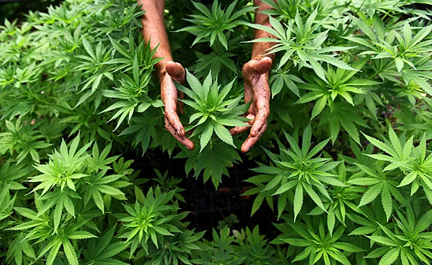 נדחים ניסויים (אילוסטרציה)