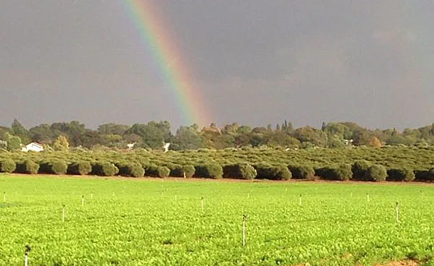 הגשמים ייפסקו. (ארכיון)