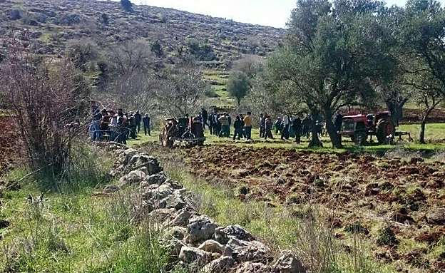 עשרות מפגינים הורחקו