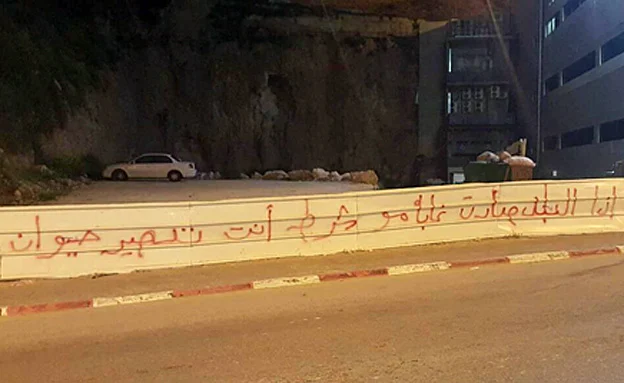 ''אם העיר הפכה לג'ונגל, זה לא אומר שצריך