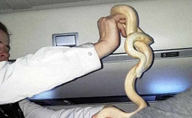 הנוסעים לא התרגשו