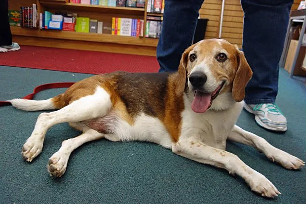 סיכון בינוני-גבוה למוות. זמן ההגעה לטיפול קריטי