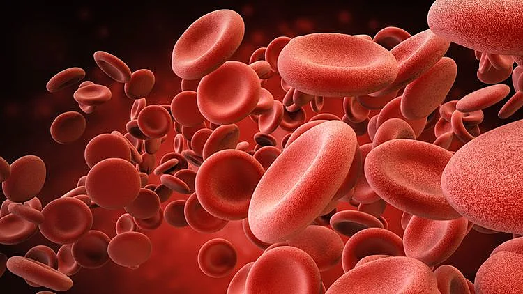 חוקרים מבוסטון טוענים כי הצליחו לייצר דם