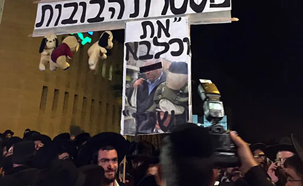 מפגן כוח ענק