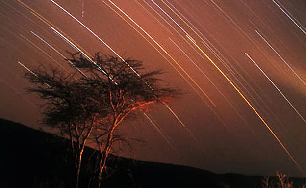 ''זהובונים'' ירדו מהשמיים? | צילום: מורן נחשוני