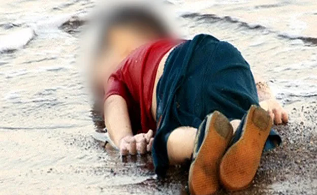 איילן כורדי שנסחף אל החוף