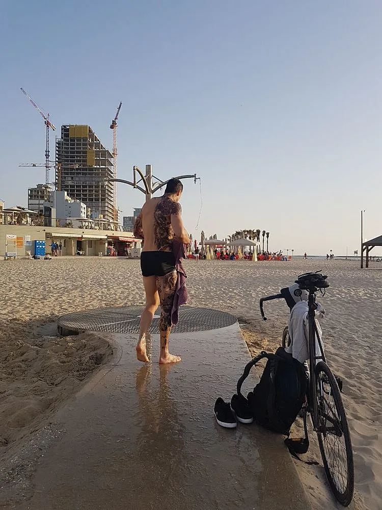 הכלבים מחכים לי