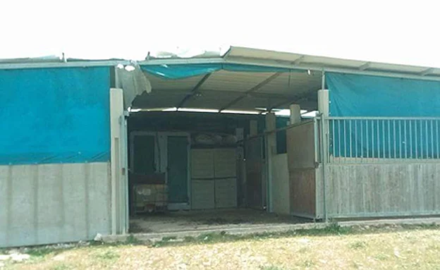 החי בר באריאל, היום