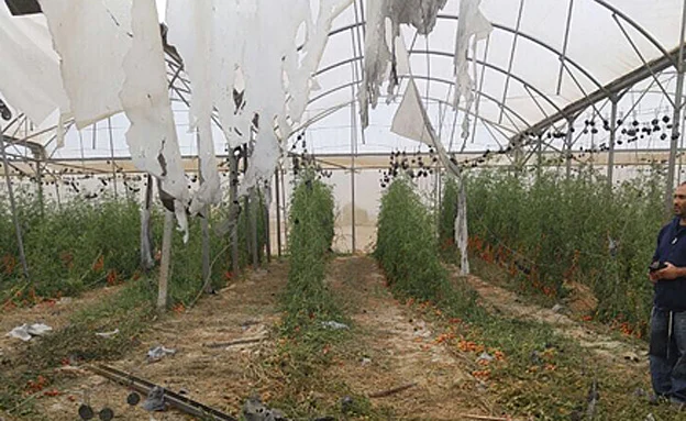 זירת הנפילה באשכול