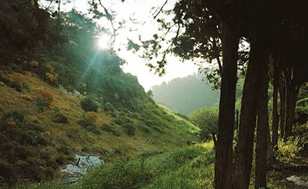 נחל שיח בחיפה