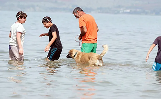 הכינרת, הבוקר