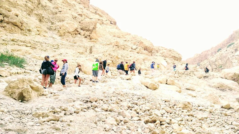 מסע ההורות כמוהו כהליכה במדבר 40 שנים