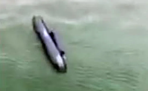 מזרן ים שנסחף עם הרוח