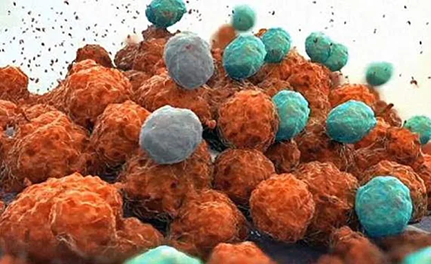 המפתח לתרופה: פיצוח גנטי?