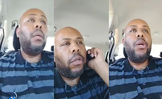 סטיבנס. מצוד ארצי