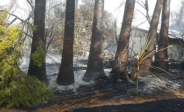 השריפה בשדה ורבורג