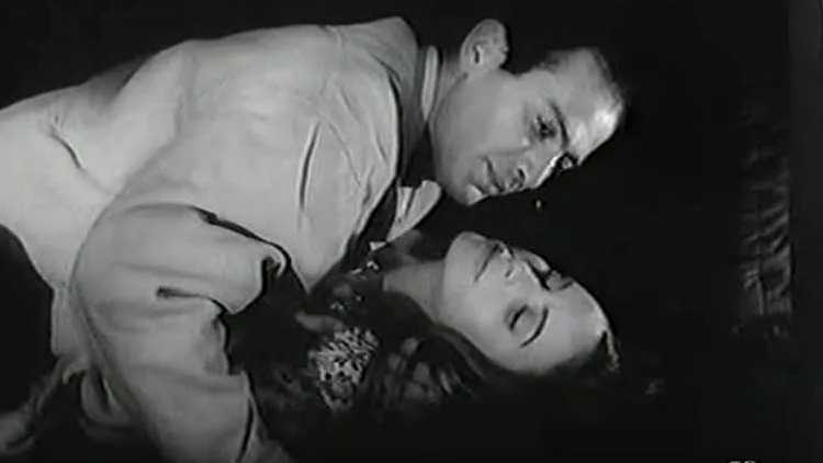 החיים הם שחור ולבן. החיים על פי אגפא