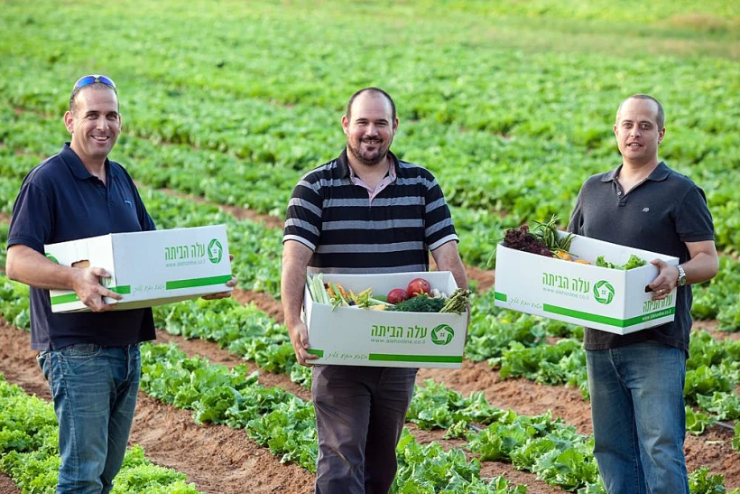 זורעים וקוטפים. הצוות של ''עלה עלה'', מימין לשמאל: אסי זהבי, יובל הלמן וגדעון בילינסקי