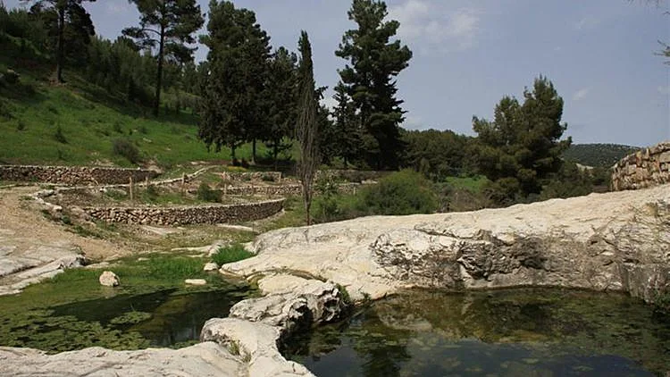 מסלול המשלב היסטוריה ונופים. עין נבוריה