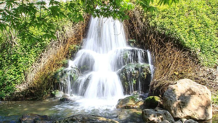 לכל המשפחה. נחל כזיב
