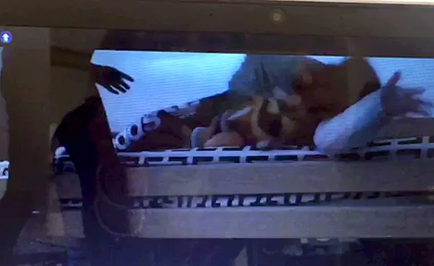 תיעוד ההתעללות