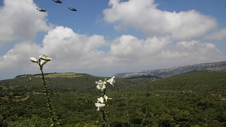 בין הפרחים האחרונים של עונת האביב, המבשרים על תחילת הקיץ. שושן צחור