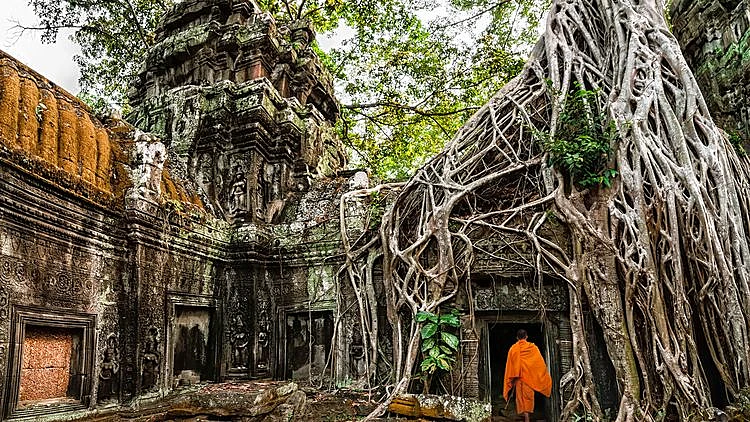 300 קמ''ר של מקדשים וארמונות מגולפים באבן