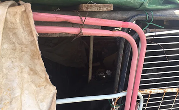 ''הרחנו ריח מזעזע'', הבית בחדרה