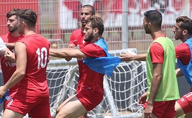 המאמן והבעלים הפרידו בין הצדדים (באדיבות ONE)