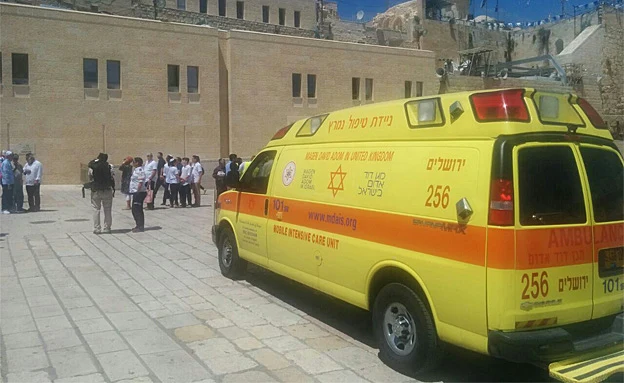 (דוברות מד''א)