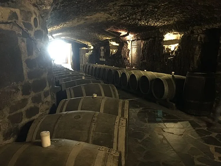 סיור מרתק עם טעימות ליין הריוחה הספרדי. חבל הבסקים