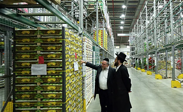 ''סיאוב'' וביורוקרטיה במערך הכשרות (ארכיון)