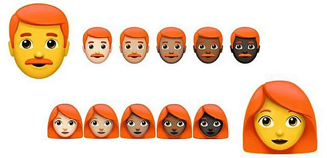 הסדרה הג'ינג'ית