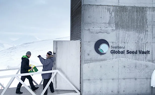 ''חייבים למצוא פתרונות''. כספת הזרעים