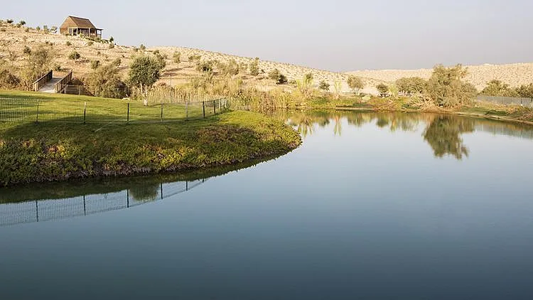 האגם נמצא במרחק דקה הליכה. חוות מעיין הנעורים