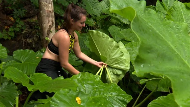 ניקולה וורד מחפשת עלים למחסה של הבנות