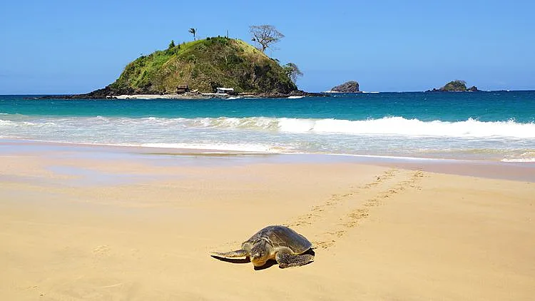 נבחר על ידי גולשי TripAdvisor בין עשרת החופים היפים בתבל לשנת 2016. חוף נקפאן