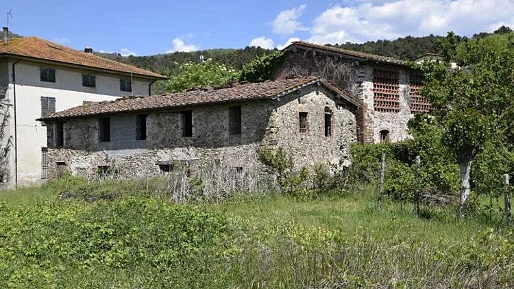 תצטרכו לעמוד בתנאים שקבעה הממשלה כדי להגיש מועמדות