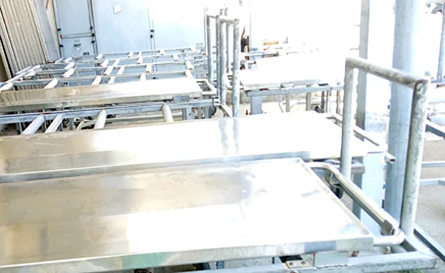 המכון לרפואה משפטית, ארכיון