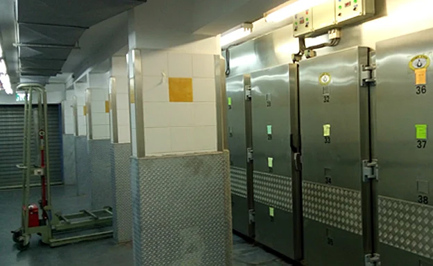 המכון לרפואה משפטית, ארכיון