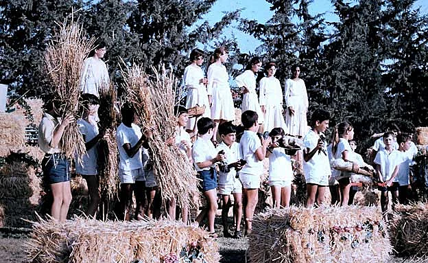 ישראלי ממוצע צורך 181 ליטרים של חלב