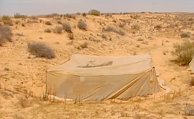 40 חממות מוסתרות בדיונות (חדשות 2)