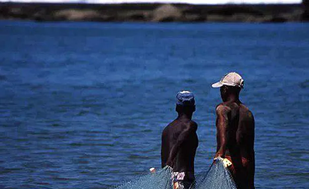 החיים באוקיאנוסים - בסכנה (רויטרס)