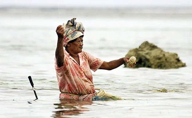 החיים בים בפיג'י (רויטרס)