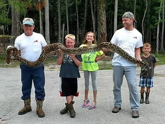 סקוט ונכדיו עם הפיתון הבורמזי