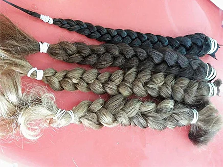 הצמות שנתרמו