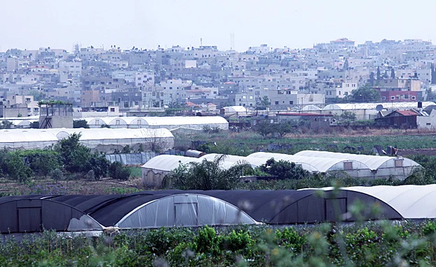 אושרה הכפלת העיר. קלקיליה