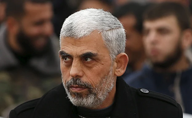 לא מאותת התמתנות, סנוואר