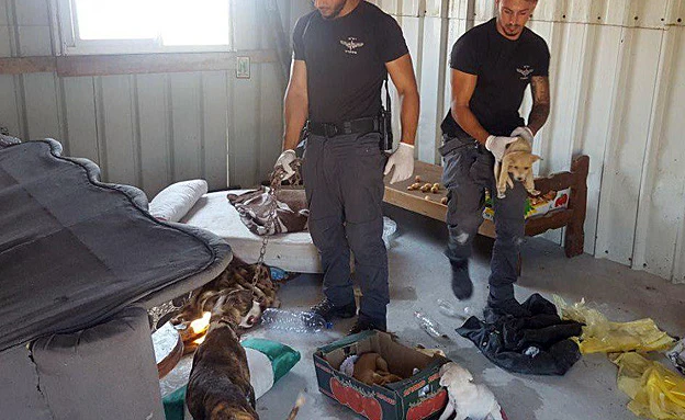 הגיעו לחפש אמל''ח - וחשפו מתחם התעללות